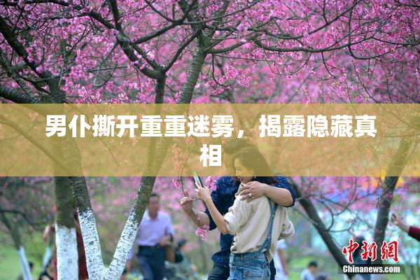 男仆撕开重重迷雾，揭露隐藏真相