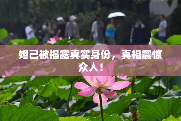 妲己被揭露真实身份，真相震惊众人！