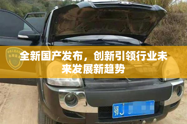 全新国产发布，创新引领行业未来发展新趋势