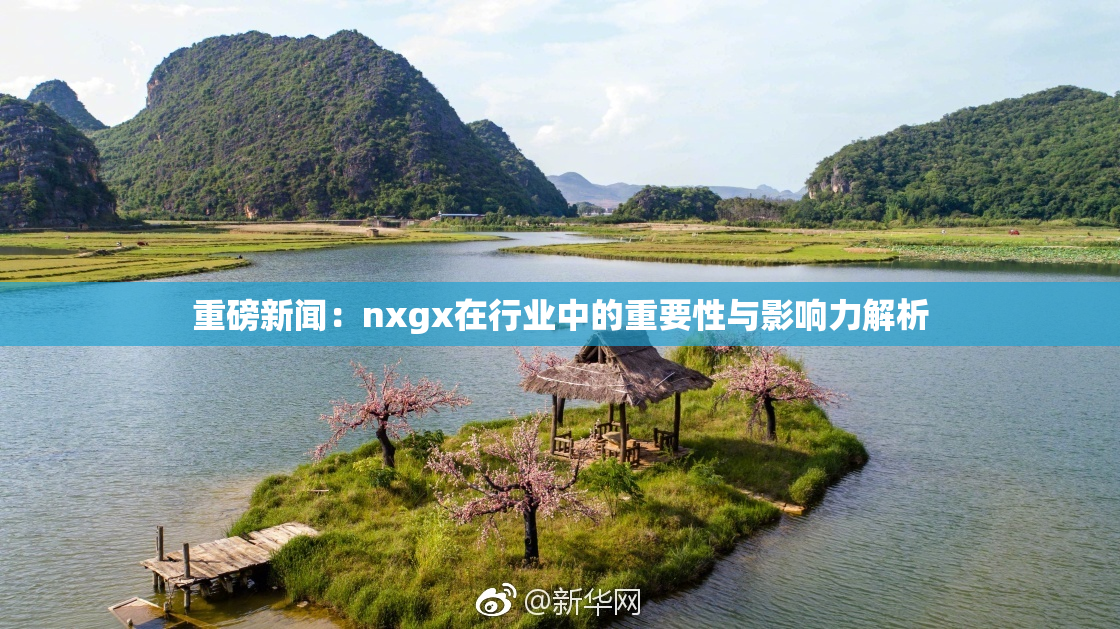 重磅新闻：nxgx在行业中的重要性与影响力解析