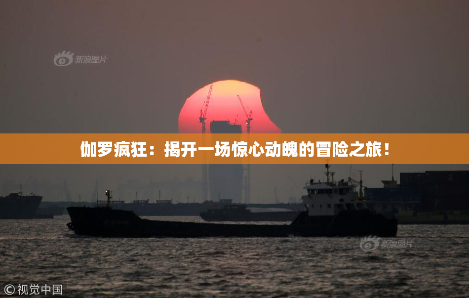 伽罗疯狂：揭开一场惊心动魄的冒险之旅！