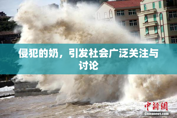 侵犯的奶，引发社会广泛关注与讨论