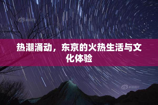热潮涌动，东京的火热生活与文化体验