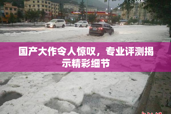 国产大作令人惊叹，专业评测揭示精彩细节