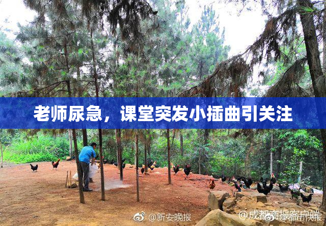 老师尿急，课堂突发小插曲引关注