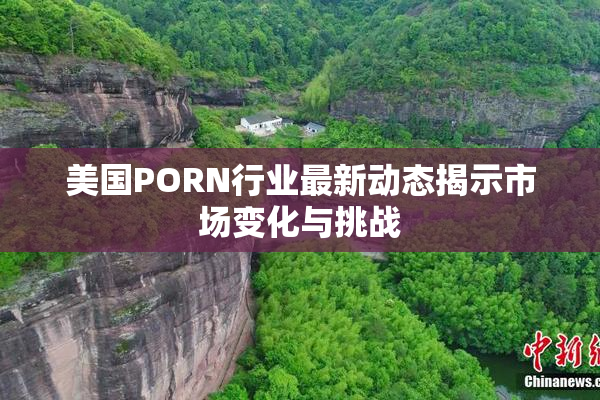 美国PORN行业最新动态揭示市场变化与挑战