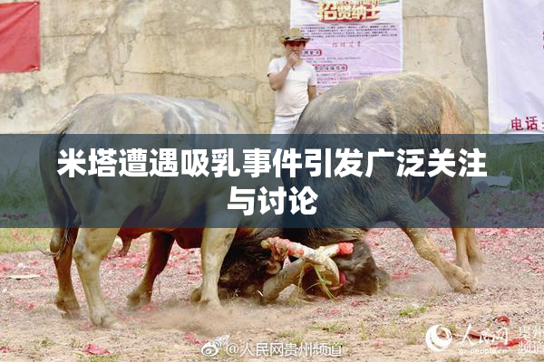 米塔遭遇吸乳事件引发广泛关注与讨论