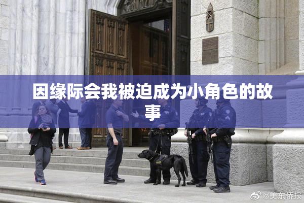 因缘际会我被迫成为小角色的故事