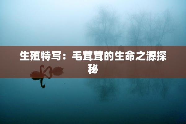 生殖特写：毛茸茸的生命之源探秘