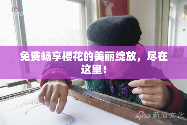 免费畅享樱花的美丽绽放，尽在这里！