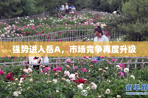 强势进入岳A，市场竞争再度升级