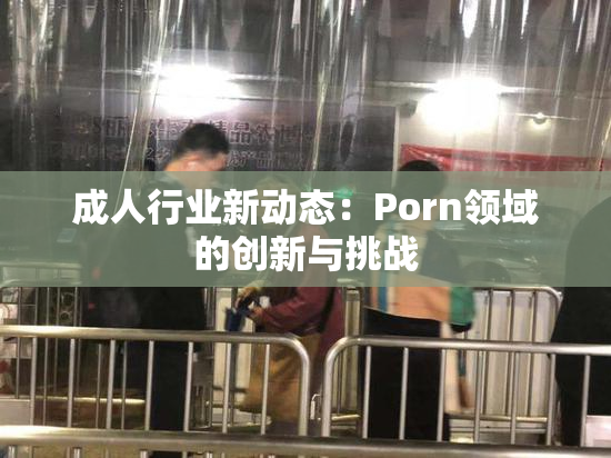 成人行业新动态：Porn领域的创新与挑战