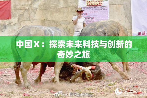 中国Ⅹ：探索未来科技与创新的奇妙之旅