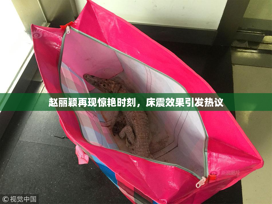 赵丽颖再现惊艳时刻，床震效果引发热议