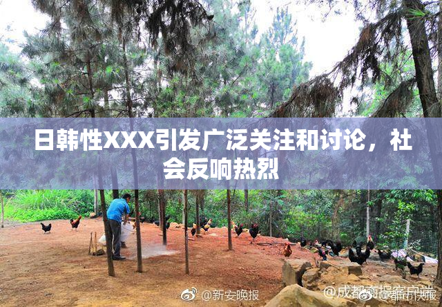 日韩性XXX引发广泛关注和讨论，社会反响热烈