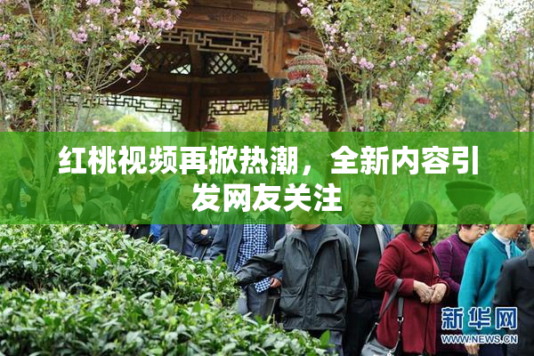 红桃视频再掀热潮，全新内容引发网友关注