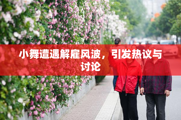 小舞遭遇解雇风波，引发热议与讨论