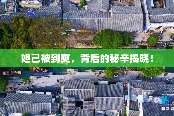 妲己被到爽，背后的秘辛揭晓！