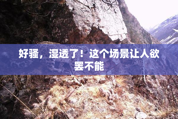 好骚，湿透了！这个场景让人欲罢不能