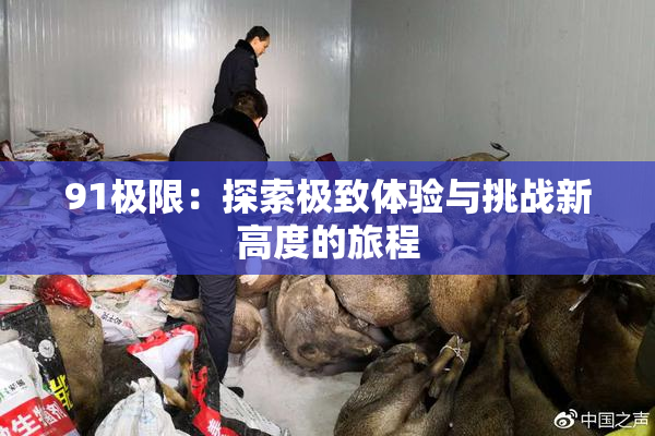 91极限：探索极致体验与挑战新高度的旅程