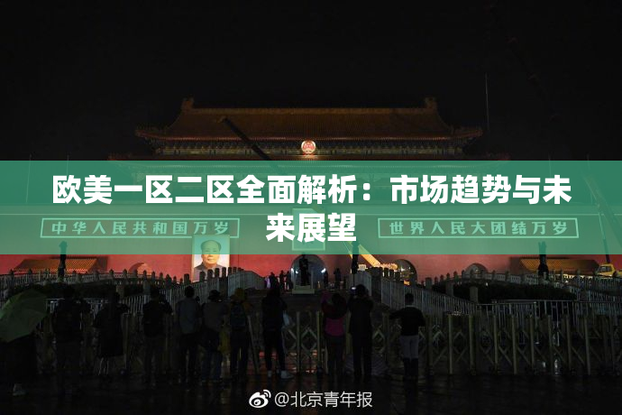 欧美一区二区全面解析：市场趋势与未来展望