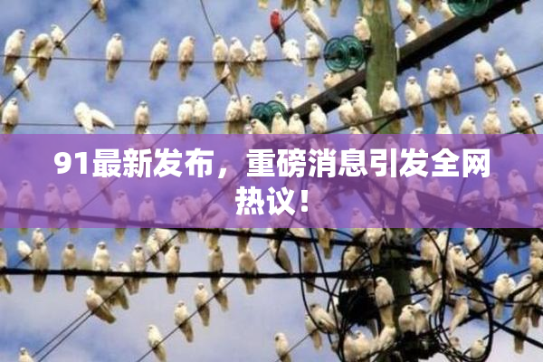 91最新发布，重磅消息引发全网热议！
