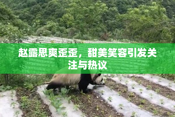 赵露思爽歪歪，甜美笑容引发关注与热议