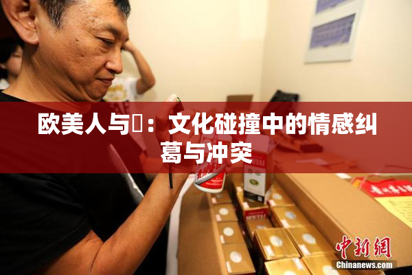 欧美人与嘼：文化碰撞中的情感纠葛与冲突
