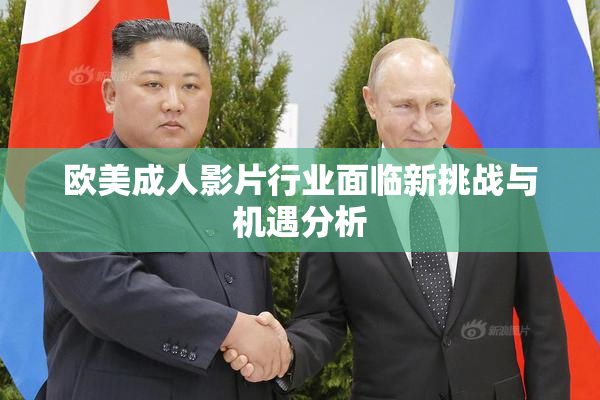 欧美成人影片行业面临新挑战与机遇分析