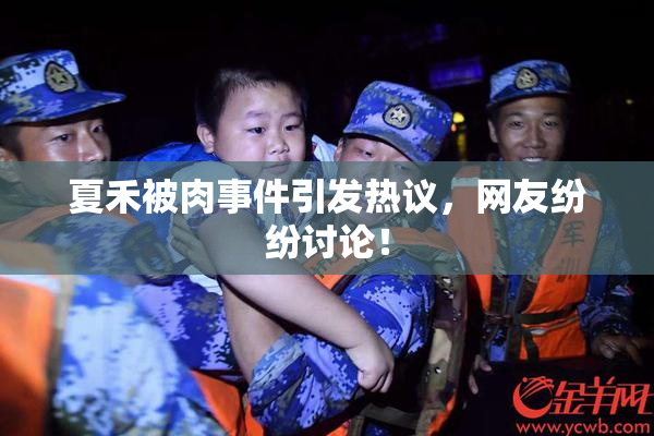 夏禾被肉事件引发热议，网友纷纷讨论！