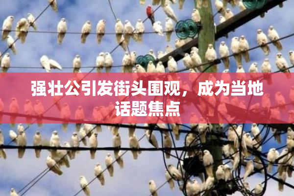 强壮公引发街头围观，成为当地话题焦点