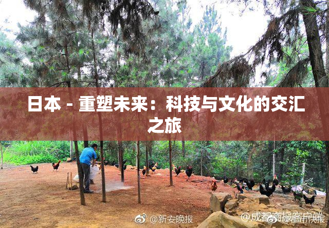 日本 - 重塑未来：科技与文化的交汇之旅
