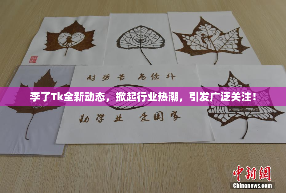 李了Tk全新动态，掀起行业热潮，引发广泛关注！