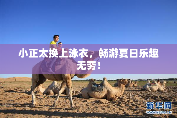 小正太换上泳衣，畅游夏日乐趣无穷！
