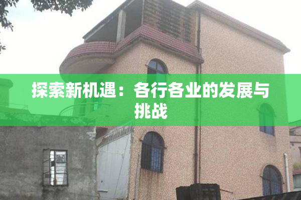 探索新机遇：各行各业的发展与挑战