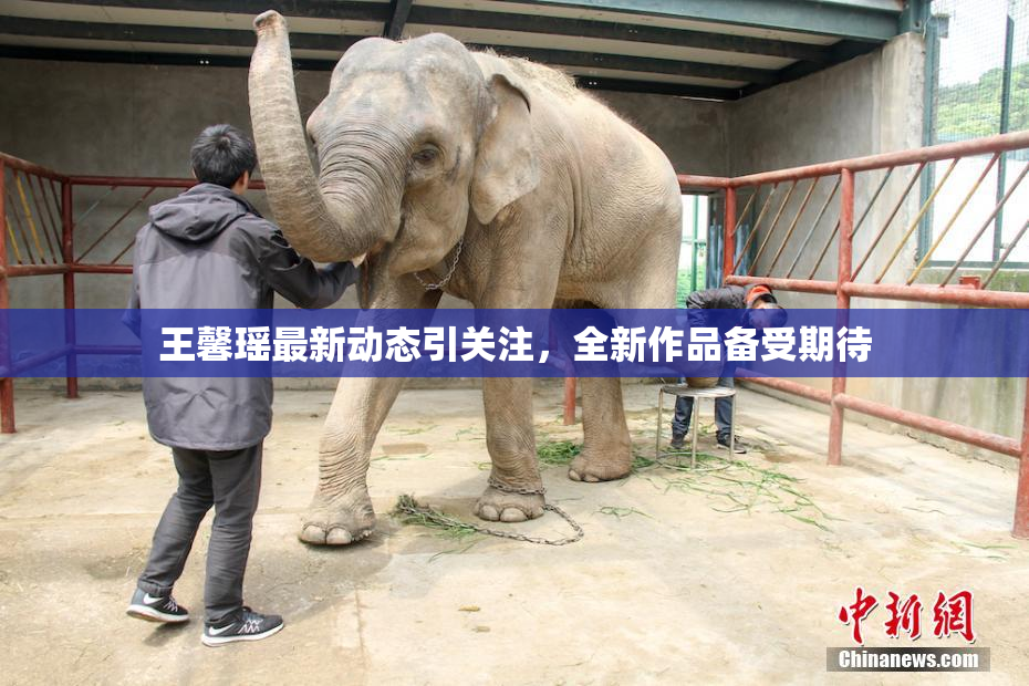 王馨瑶最新动态引关注，全新作品备受期待