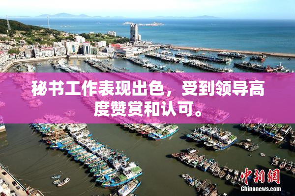 秘书工作表现出色，受到领导高度赞赏和认可。