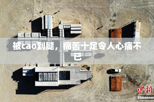 被cao到腿，痛苦十足令人心痛不已