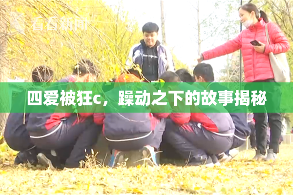 四爱被狂c，躁动之下的故事揭秘