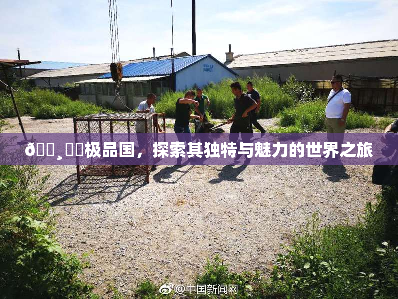 🌸‌✿极品国，探索其独特与魅力的世界之旅