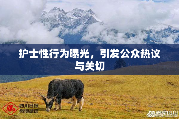 护士性行为曝光，引发公众热议与关切