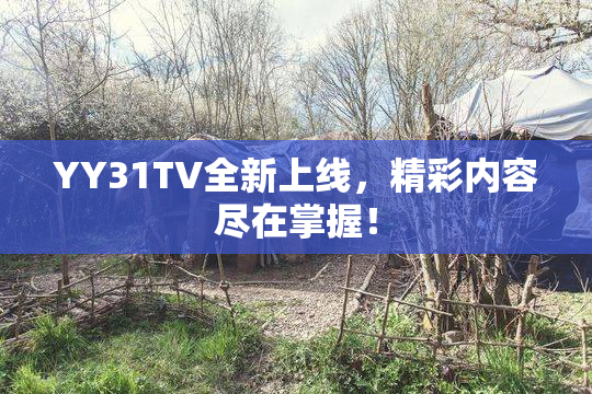 YY31TV全新上线，精彩内容尽在掌握！