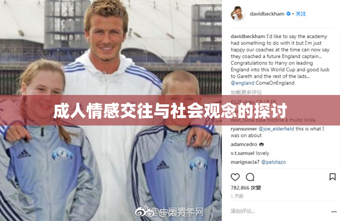 成人情感交往与社会观念的探讨