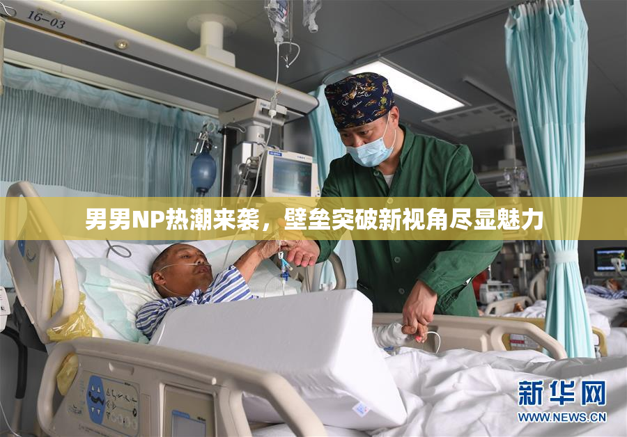 男男NP热潮来袭，壁垒突破新视角尽显魅力