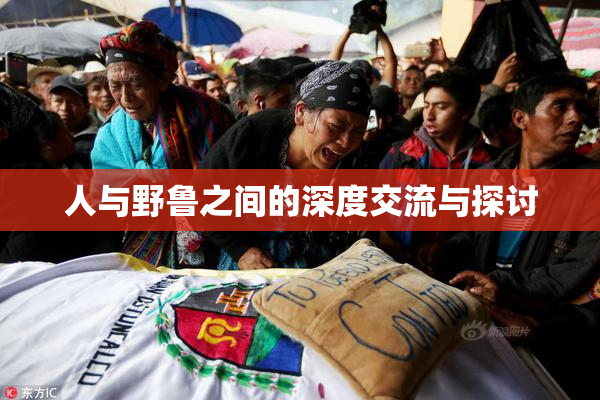 人与野鲁之间的深度交流与探讨