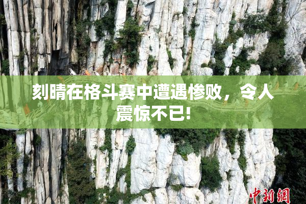 刻晴在格斗赛中遭遇惨败，令人震惊不已!
