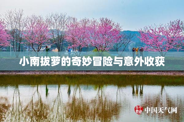 小南拔萝的奇妙冒险与意外收获