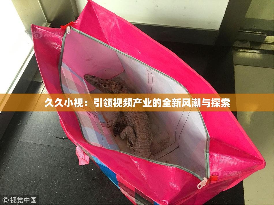 久久小视：引领视频产业的全新风潮与探索
