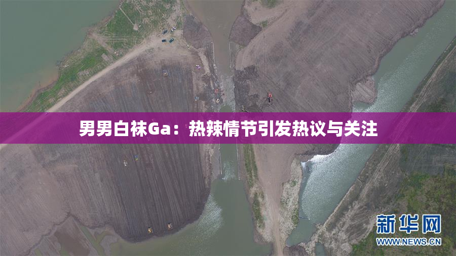 男男白袜Ga：热辣情节引发热议与关注