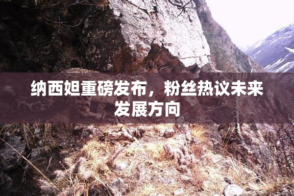 纳西妲重磅发布，粉丝热议未来发展方向